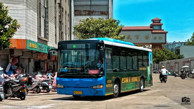 800BUS