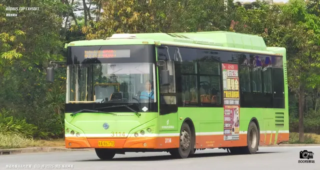 800BUS