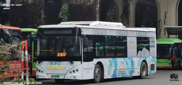 800BUS