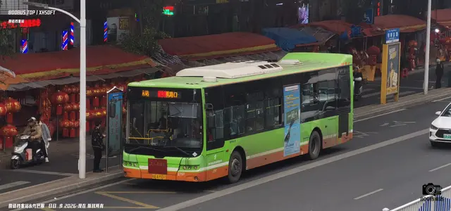 800BUS