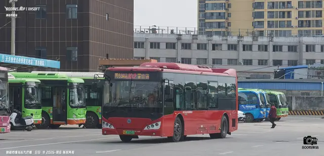 800BUS
