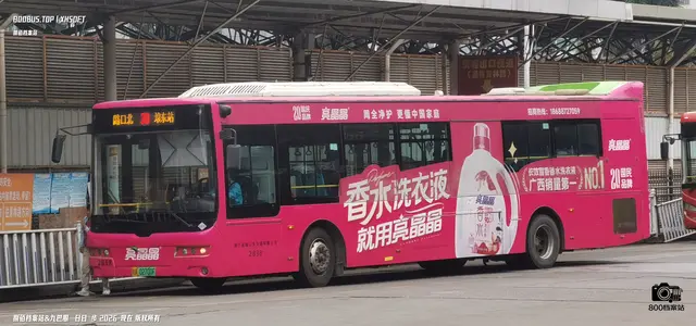 800BUS