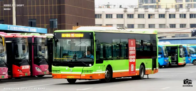 800BUS
