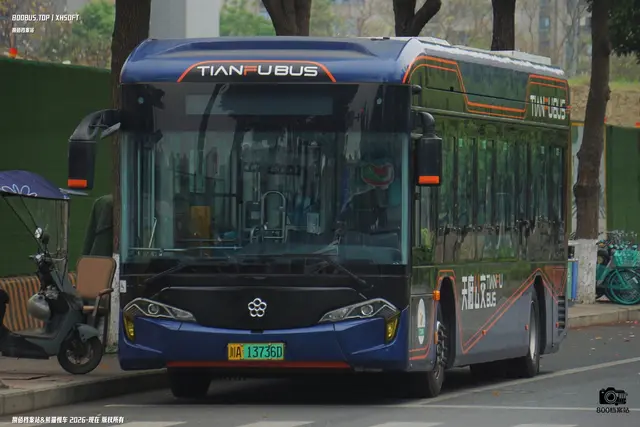 800BUS