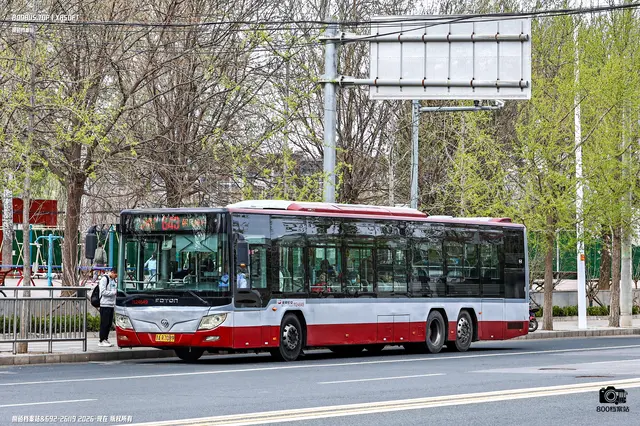 800BUS