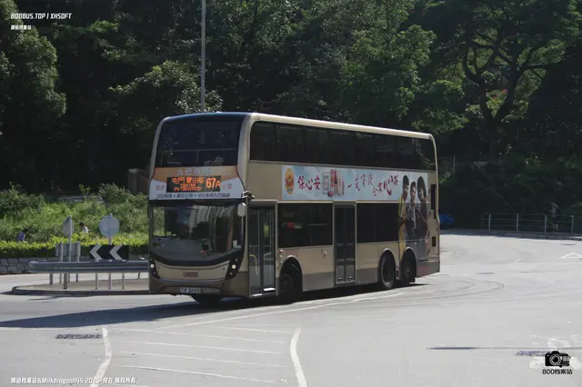 800BUS