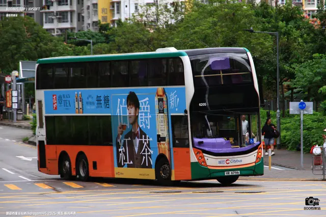 800BUS