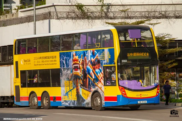 800BUS
