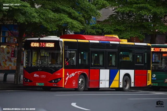 800BUS