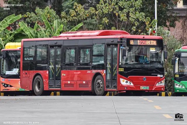800BUS
