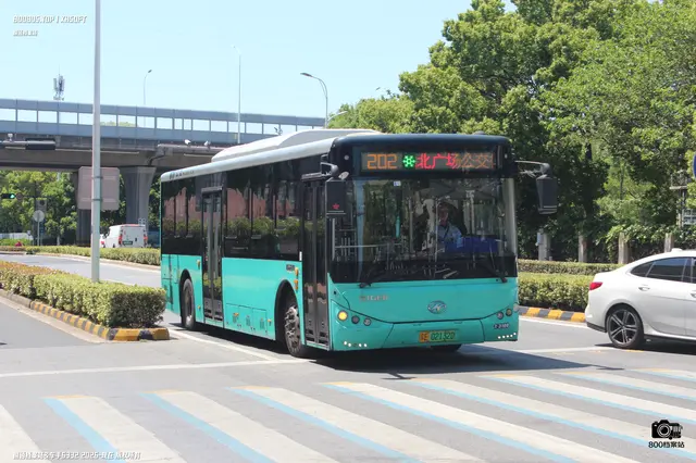 800BUS