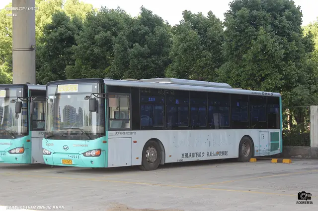 800BUS