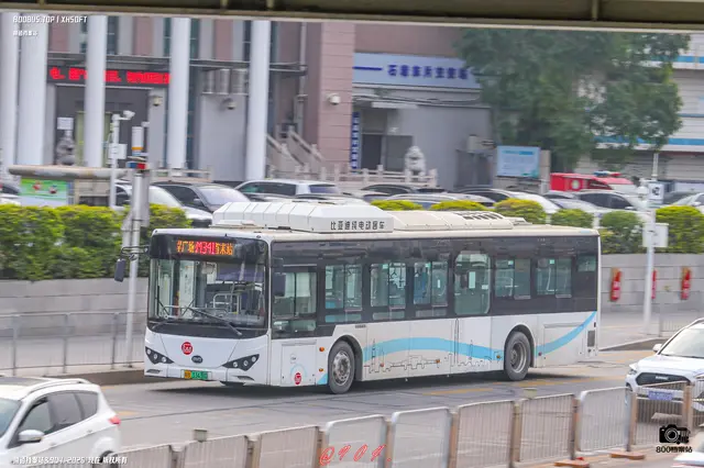 800BUS