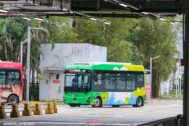 800BUS