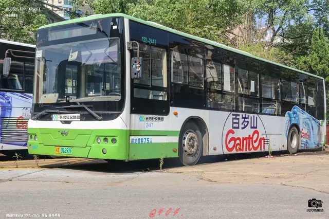 800BUS