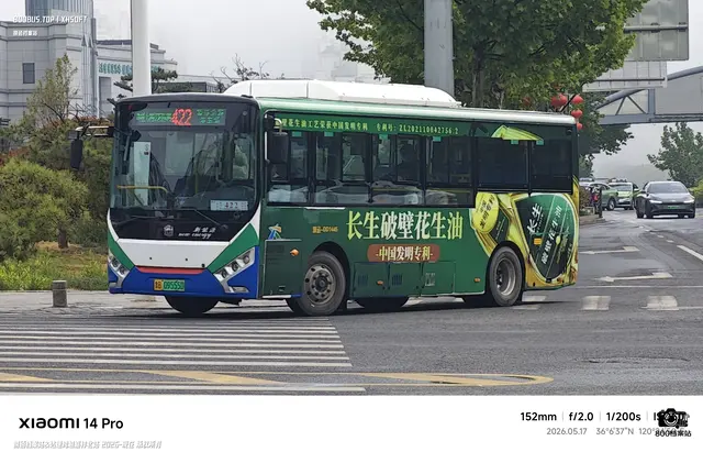 800BUS