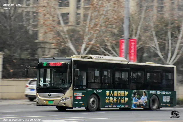 800BUS
