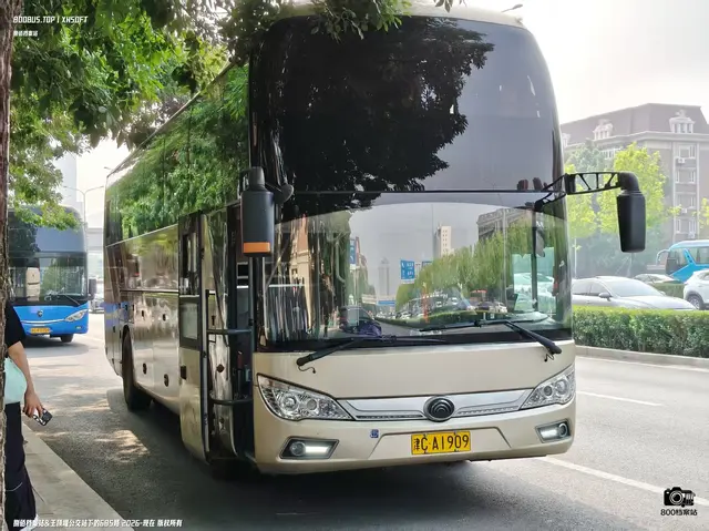 800BUS