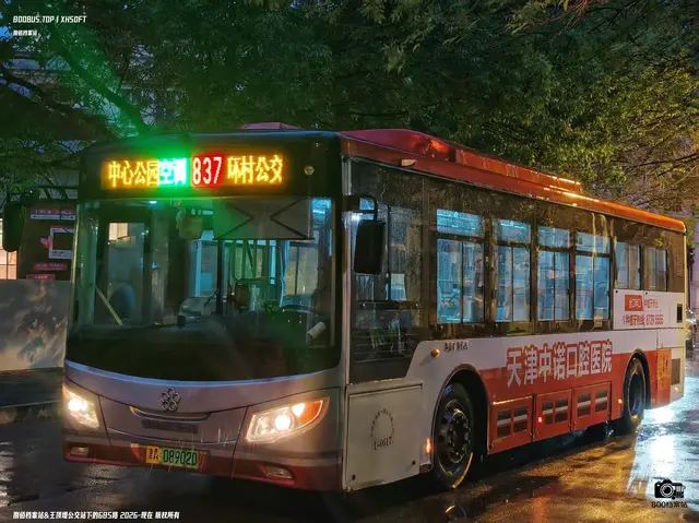 800BUS