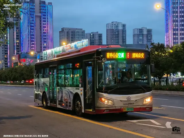 800BUS