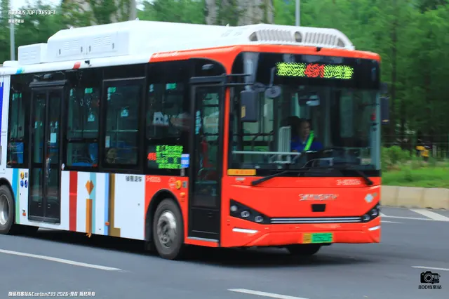 800BUS