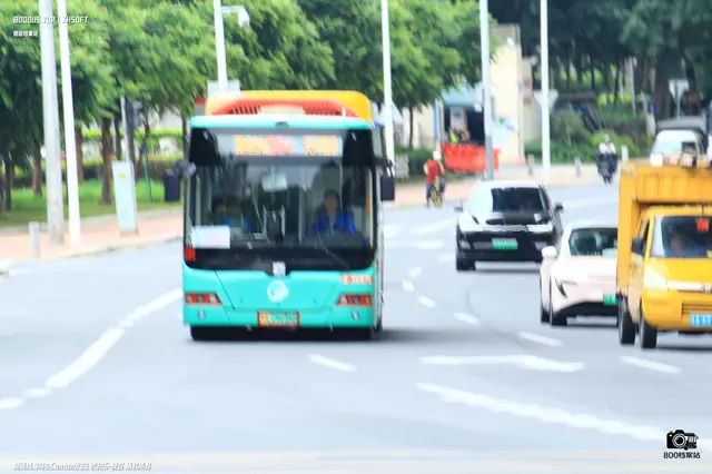 粤A 29234D
