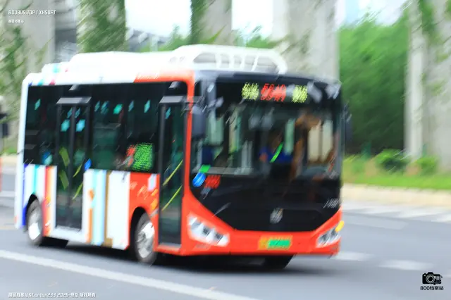 800BUS
