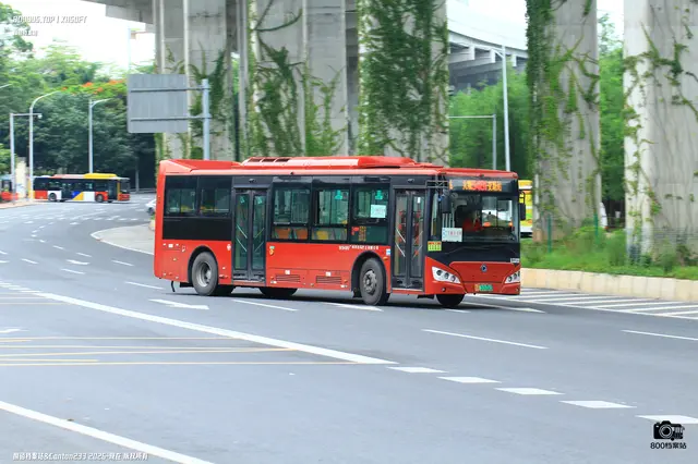 800BUS