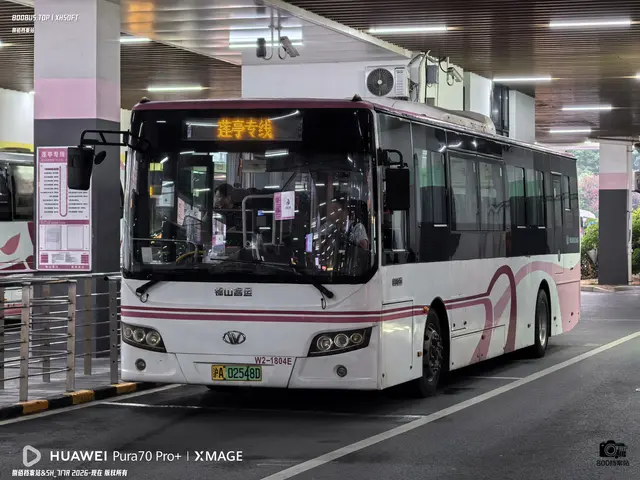 800BUS