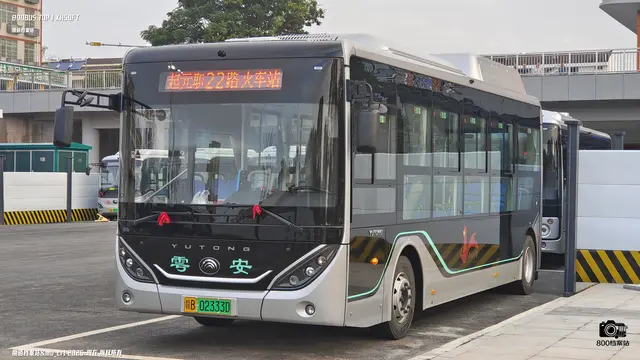 800BUS