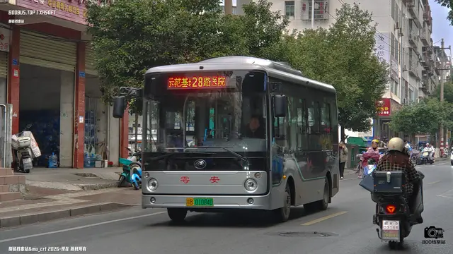 800BUS