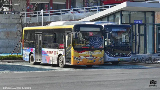 800BUS