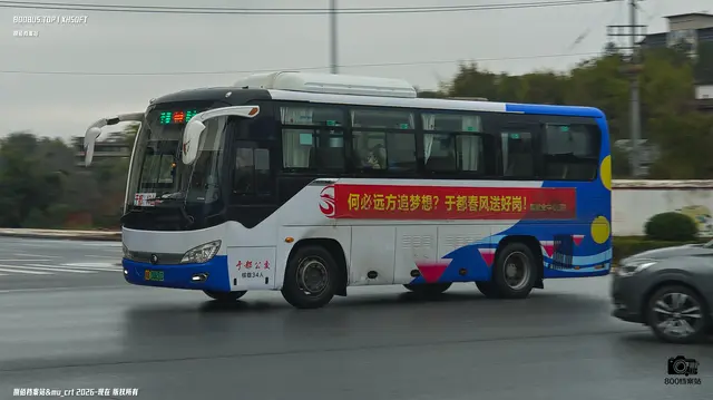 800BUS