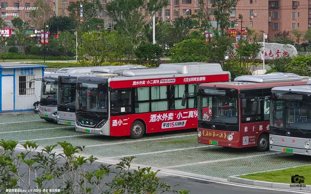 800BUS