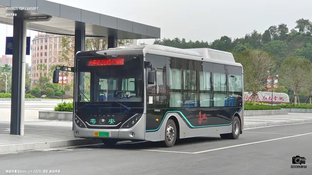 800BUS