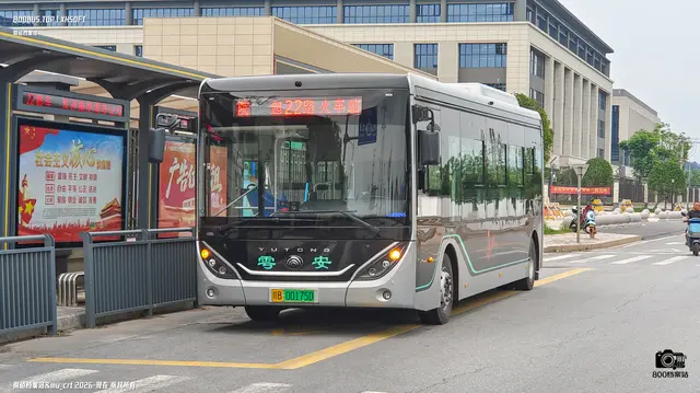 800BUS