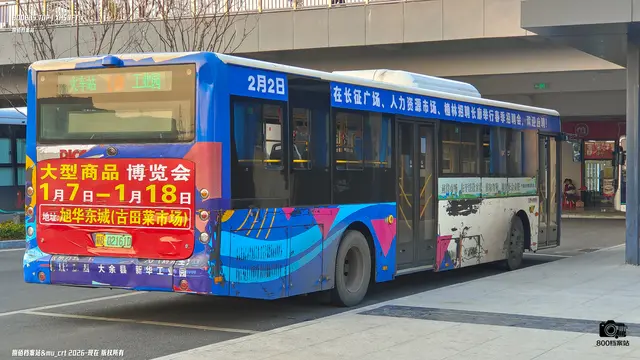 800BUS