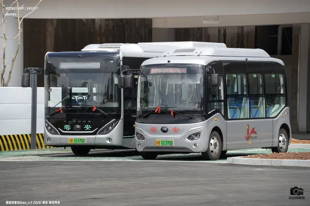 800BUS