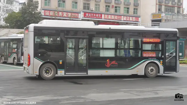800BUS