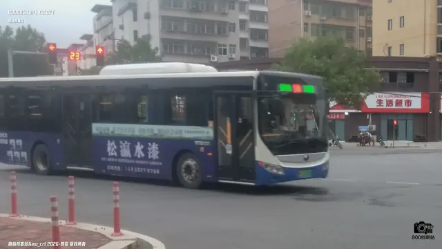 800BUS