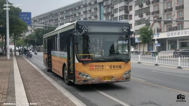 800BUS