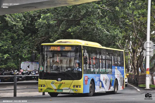 800BUS