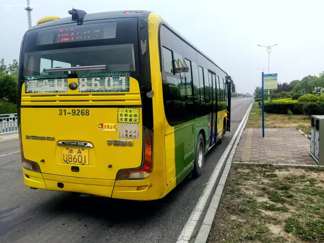 800BUS