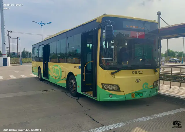 800BUS