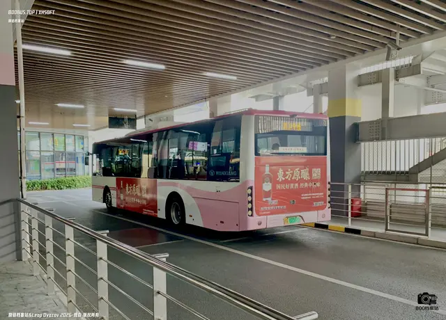 800BUS