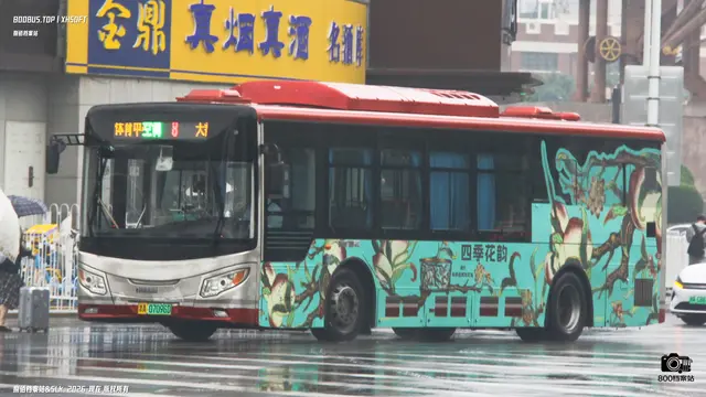 800BUS