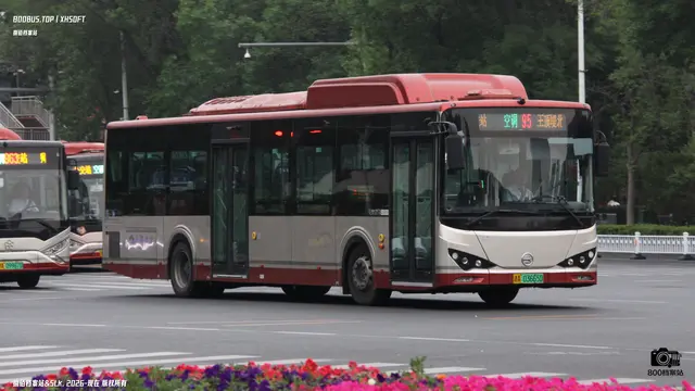 800BUS