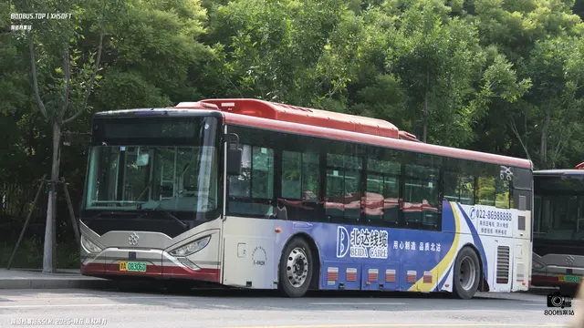 800BUS