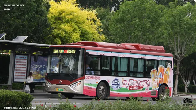 800BUS
