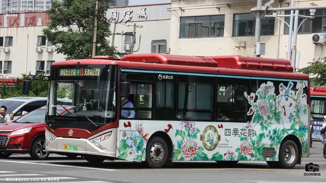 800BUS